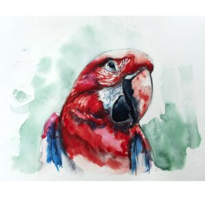 Book of Birds 13 - Archival Print