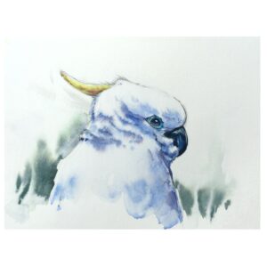 Book of Birds 1 - Archival Print