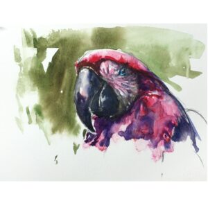 Book of Birds 3 - Archival Print