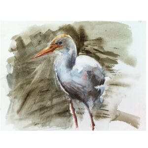 Book of Birds 6 - Archival Print