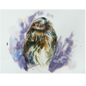 Book of Birds 8 - Archival Print