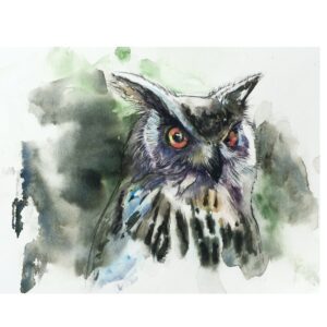 Book of Birds 11 - Archival Print