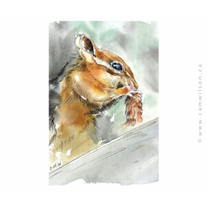Wildlife Ink - Chipmunk