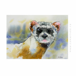 Wildlife Ink - Ferret