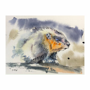 Wildlife Ink - Marmot