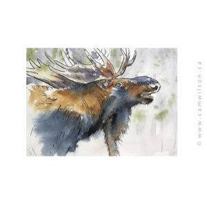 Wildlife Ink - Moose