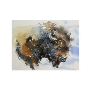 Wildlife Ink - Bison Art Print