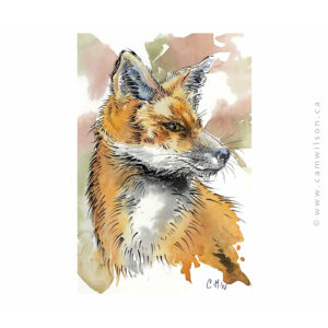 Wildlife Ink - Fox Art Print