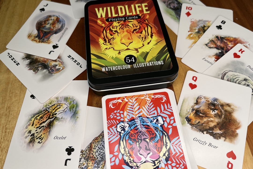 gift case and deck of illustrated playing cards